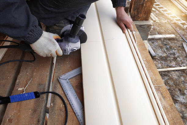 Best Steel Siding Installation  in Moore, OK